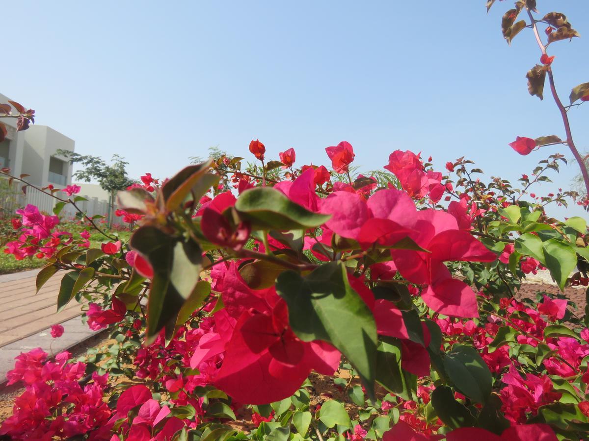 Bermuda Villas Holiday Home رأس الخيمة الغرفة الصورة